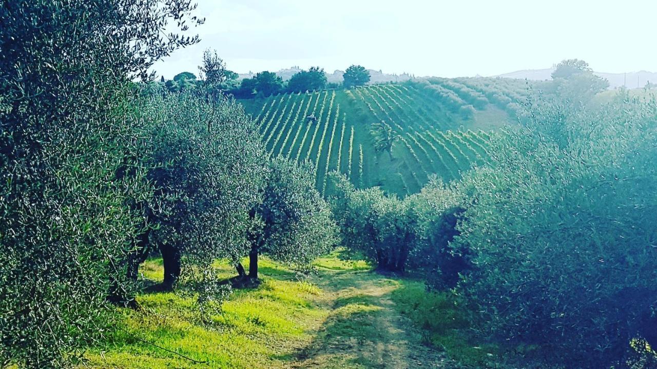 Sant'ellero Holiday home San Casciano in Val di Pesa