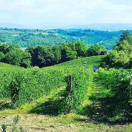 Agriturismo Sant'Ellero San Casciano in Val di Pesa Exterior foto