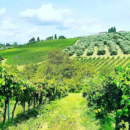 Agriturismo Sant'Ellero San Casciano in Val di Pesa Exterior foto
