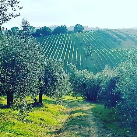 Agriturismo Sant'Ellero San Casciano in Val di Pesa Exterior foto